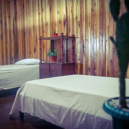 Monte Los Lirios Lodge Monteverde Extérieur photo