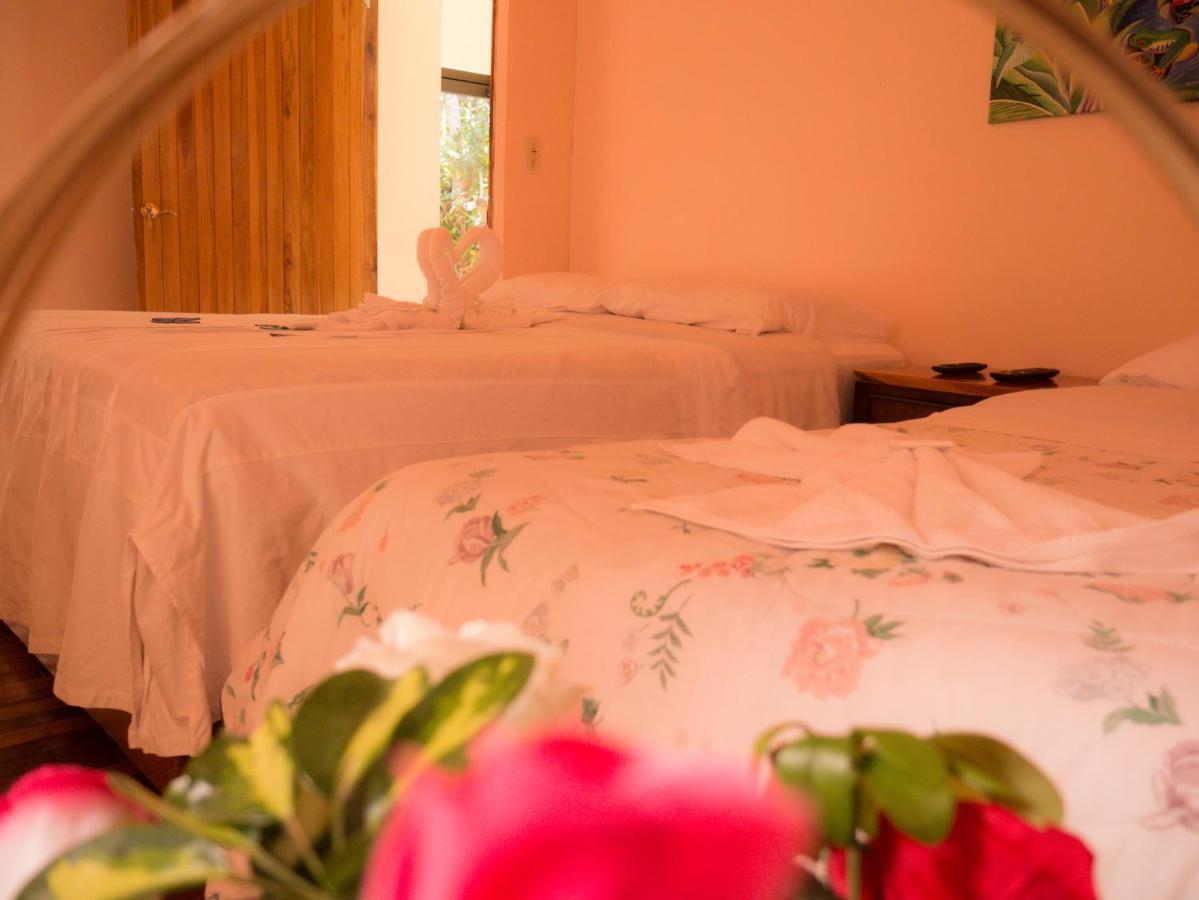 Monte Los Lirios Lodge Monteverde Extérieur photo