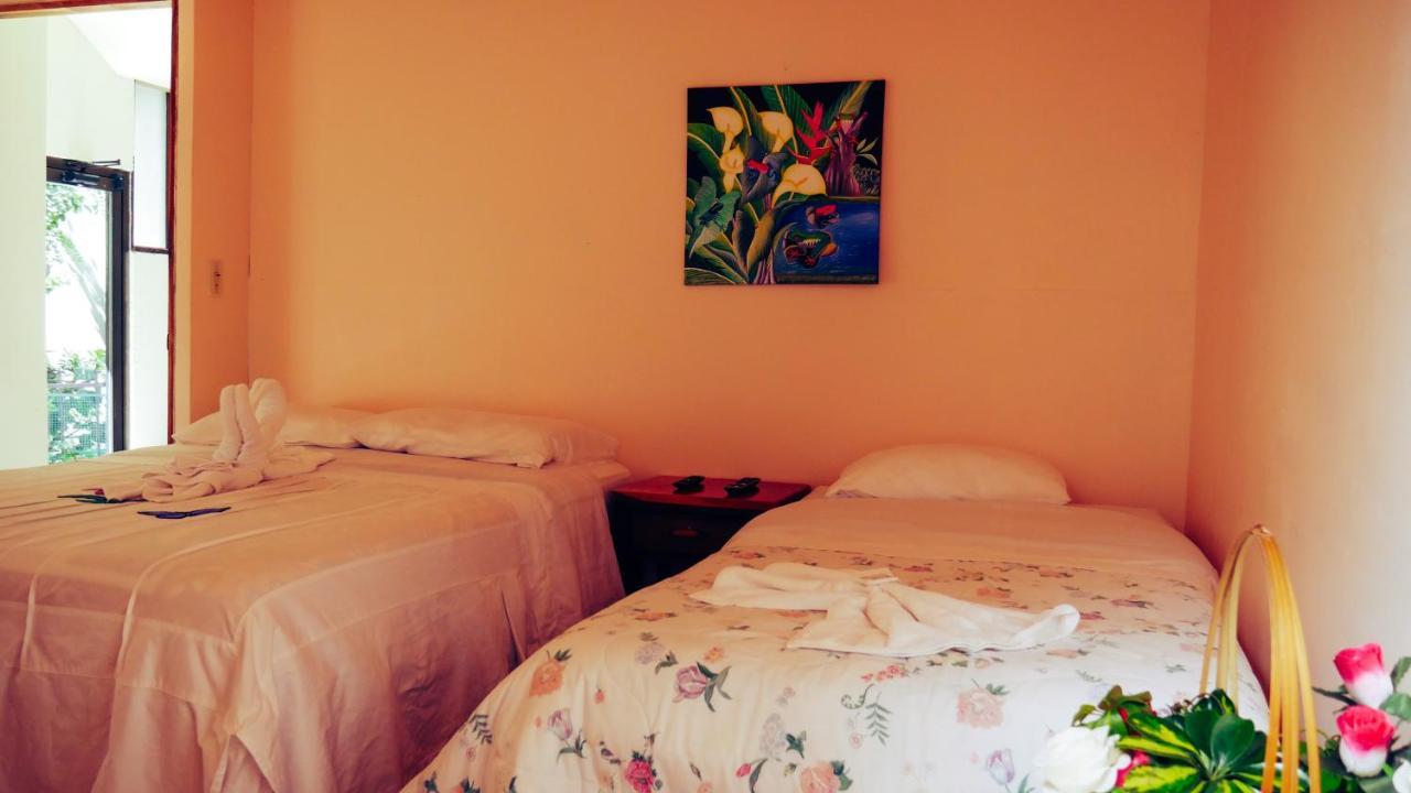 Monte Los Lirios Lodge Monteverde Extérieur photo